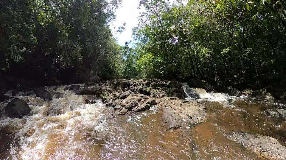 Fallawatra Green Resort in Sipaliwini