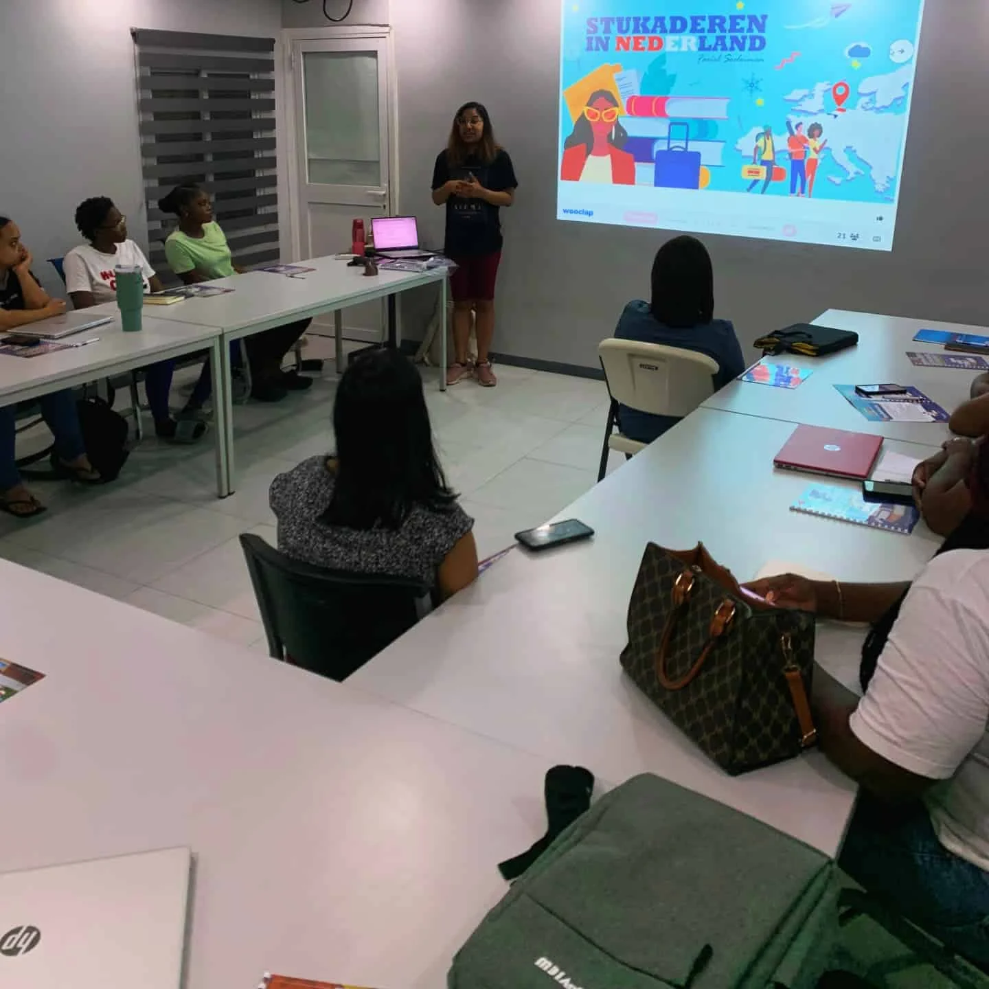 Stukaderen in Nederland, Professional Services in Paramaribo