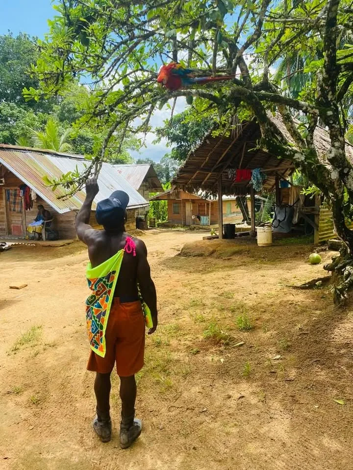 Asomena Travel & Tours in Paramaribo