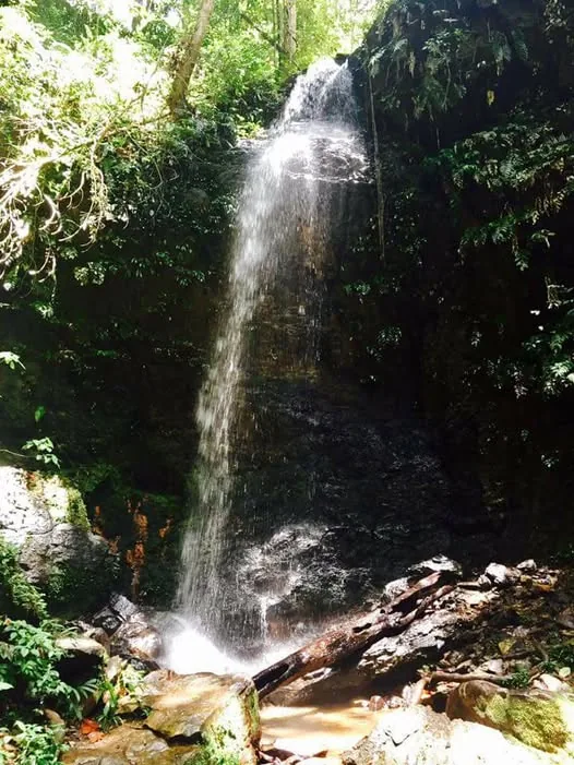 Boni Tours Suriname in Paramaribo