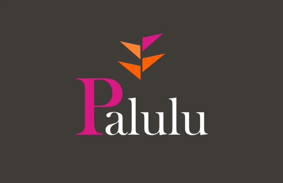 Palulu Financial Outsourcing Services in Paramaribo