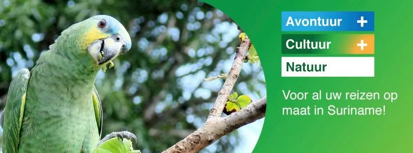 Fred Eco Tours in Paramaribo