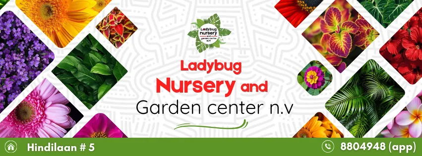 Ladybug Nursery & Garden Center in Paramaribo