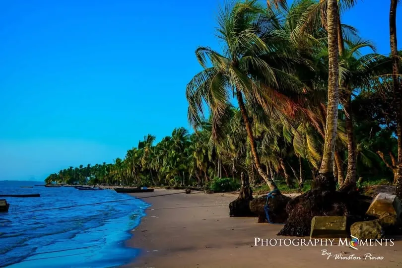 Myrysji Tours Suriname in Paramaribo