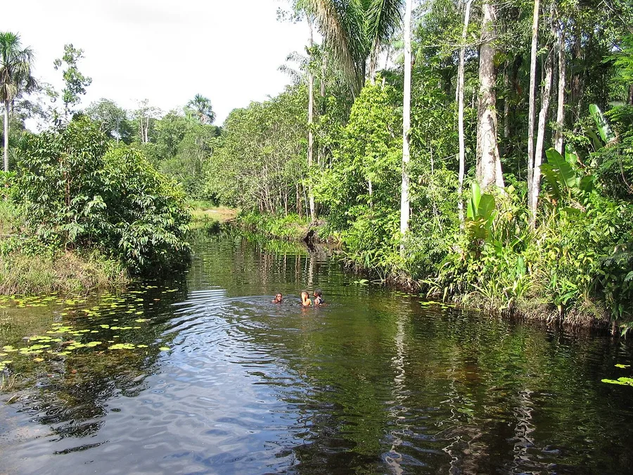 Natural Swimming