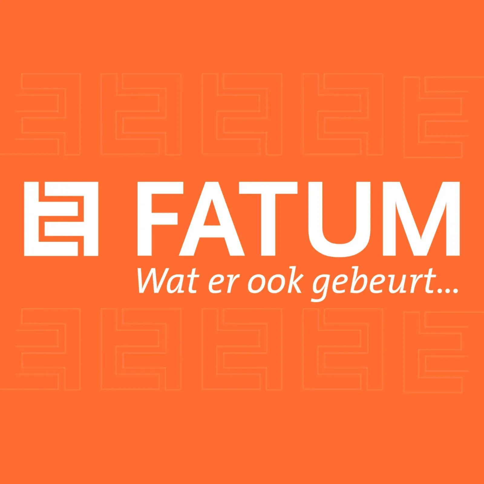 FATUM Schadeverzekering N.V., Professional Services in Paramaribo