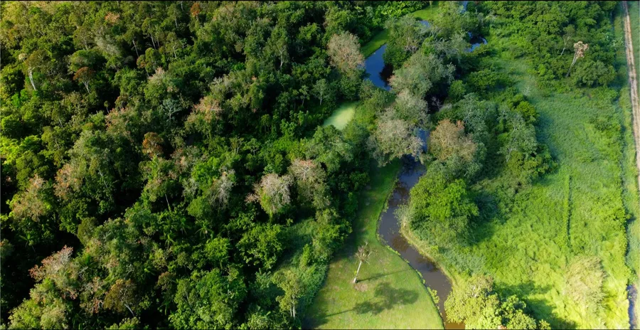 Peperpot Nature Park