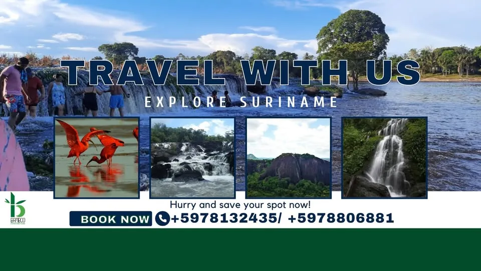 Bamboo Adventure Tours in Paramaribo