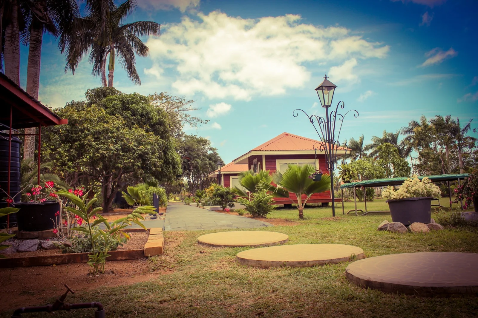 Royal Wellness Lounge, Services in Paramaribo