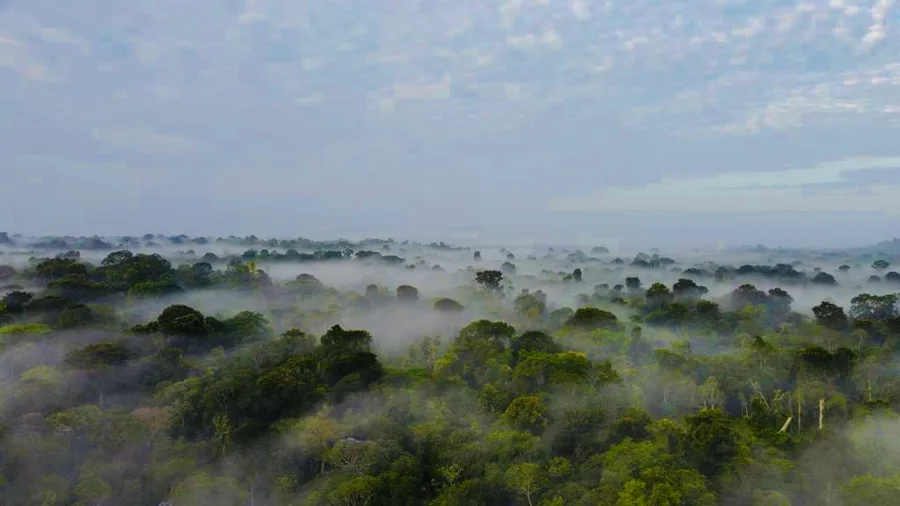 Unlimited Suriname Tours