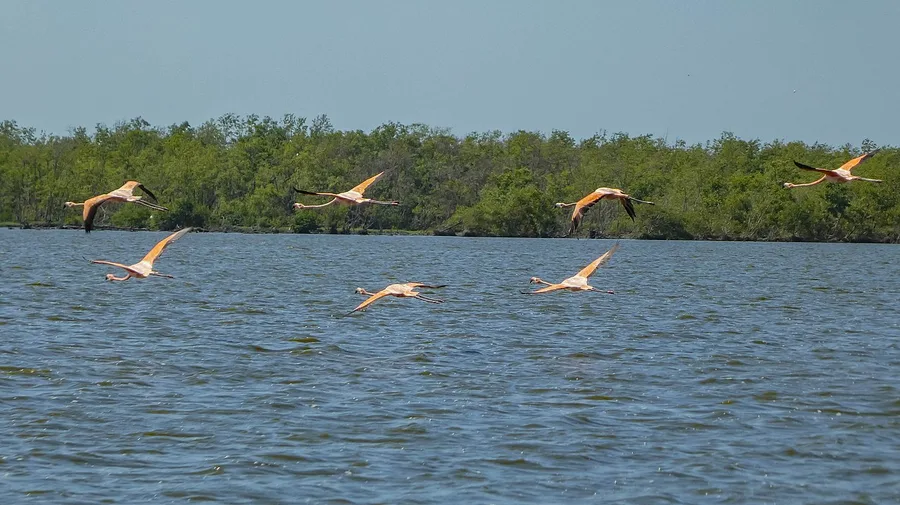 Bigi Pan Nature Reserve