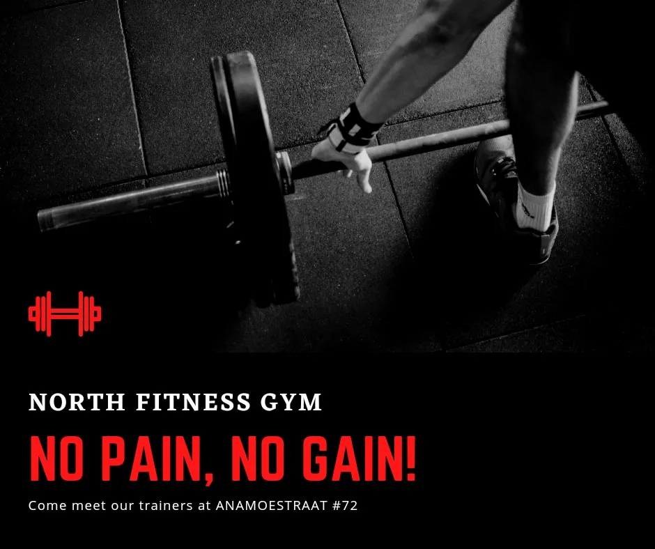 North Fitness Gym
