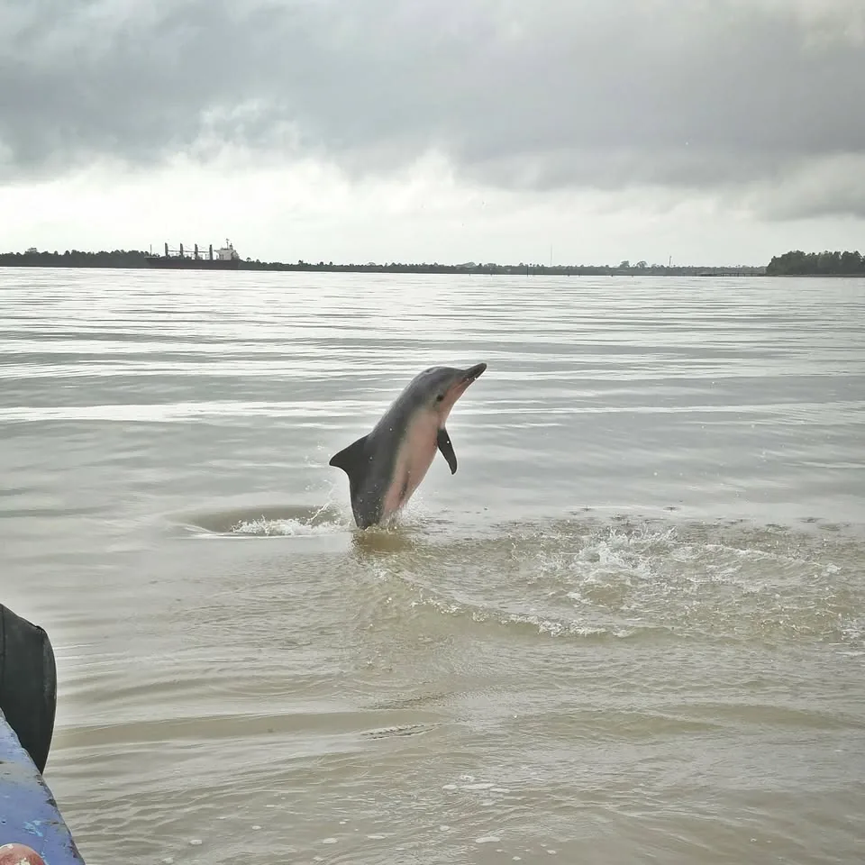 Orange Travel Suriname in Paramaribo