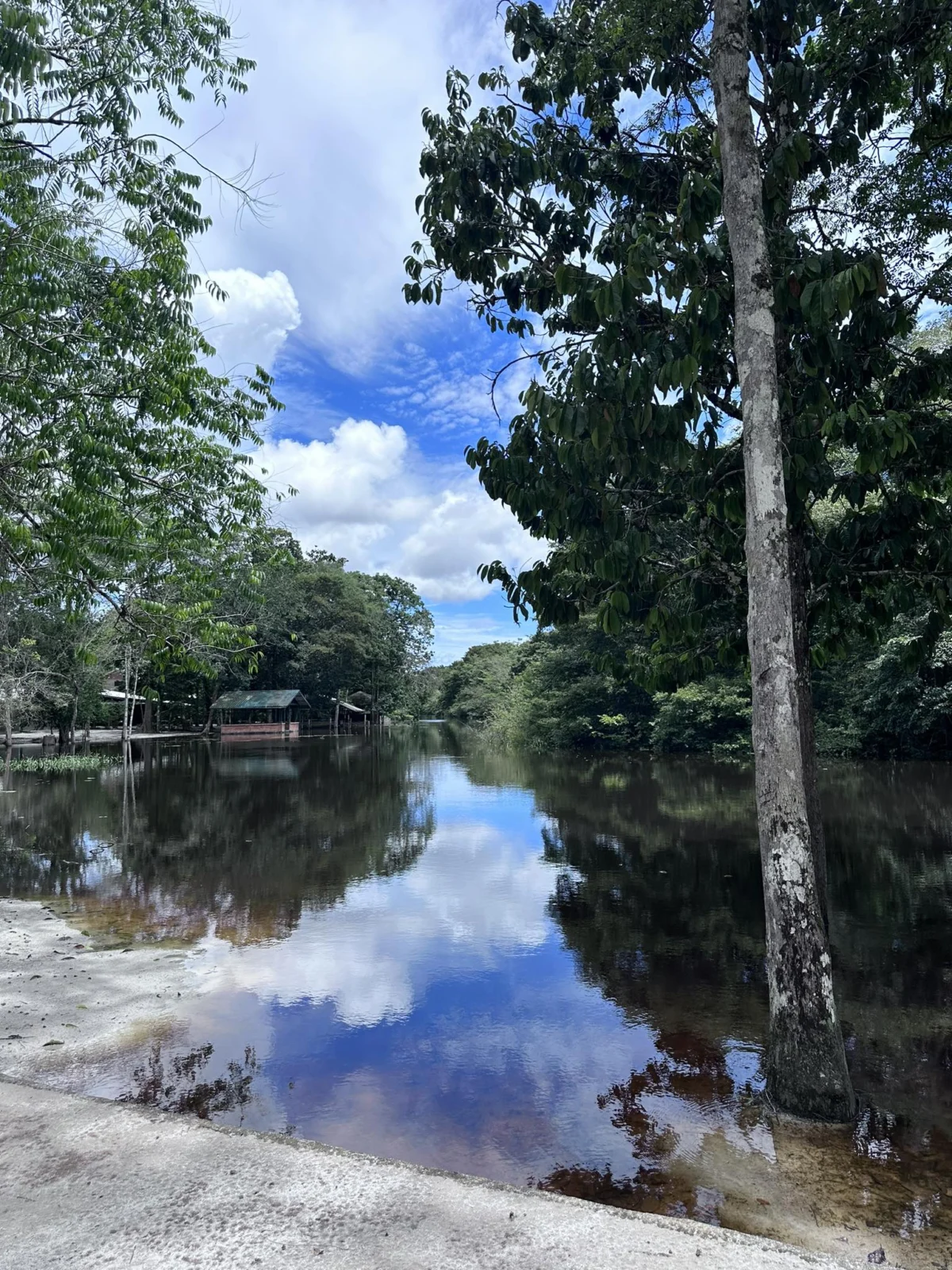 Tranquil At Mamba Republiek in Paramaribo