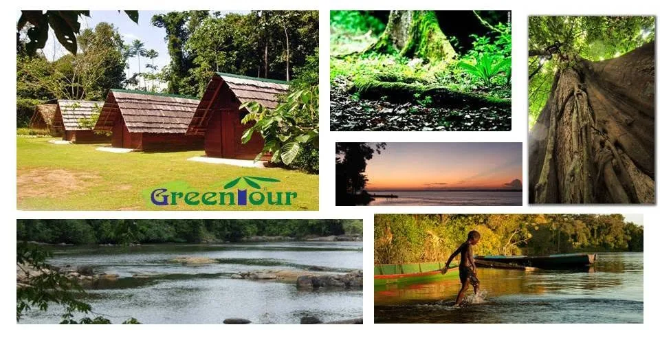 Greentour Jungletours & Expeditions in Paramaribo